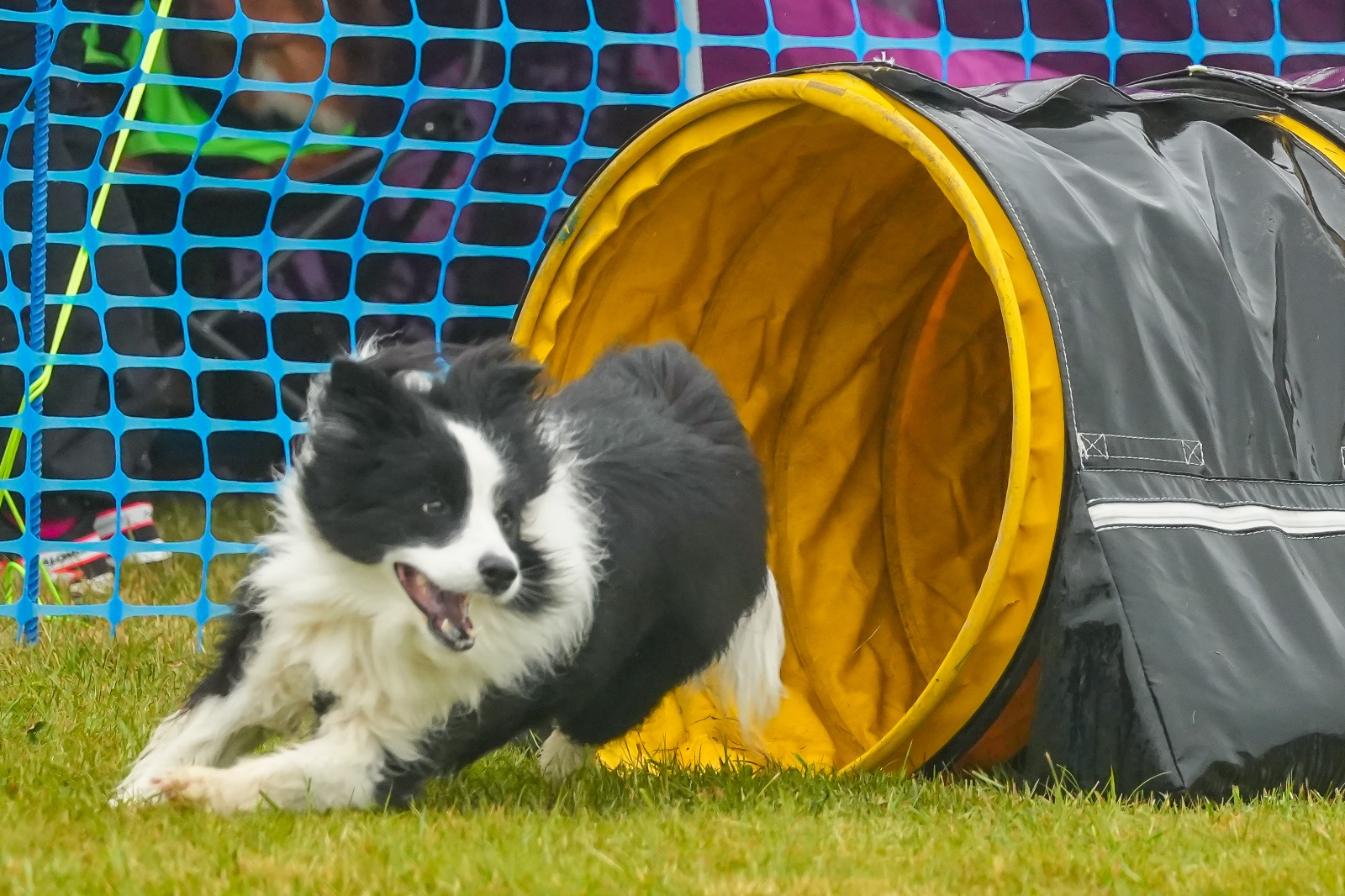 Agi-Turnier_Mai2025_8.0